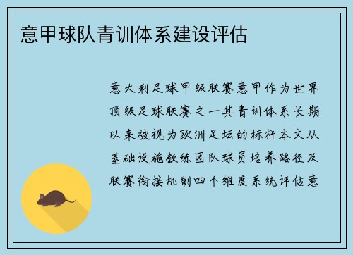意甲球队青训体系建设评估