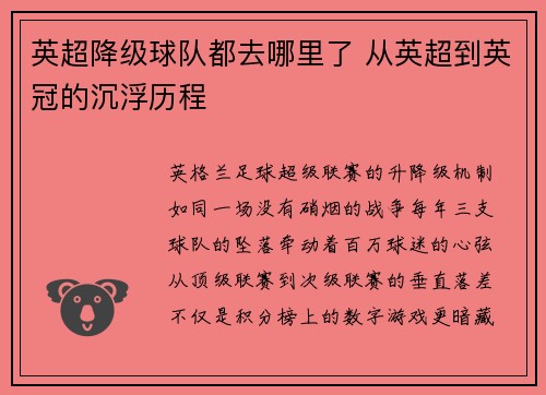 英超降级球队都去哪里了 从英超到英冠的沉浮历程